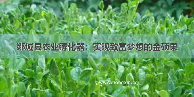 郯城县农业孵化器：实现致富梦想的金硕果