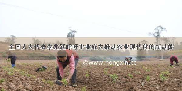 全国人大代表李兆廷呼吁企业成为推动农业现代化的新动能