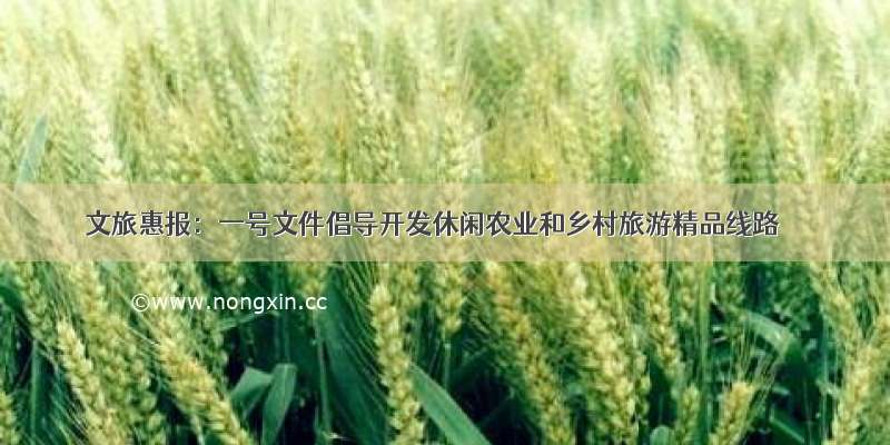 文旅惠报：一号文件倡导开发休闲农业和乡村旅游精品线路