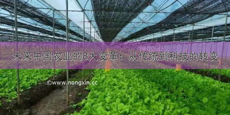 未来中国农业的8大变革：从传统到科技的转变