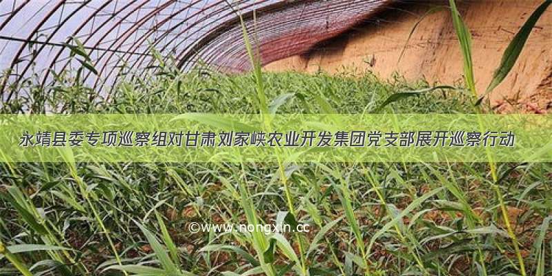 永靖县委专项巡察组对甘肃刘家峡农业开发集团党支部展开巡察行动
