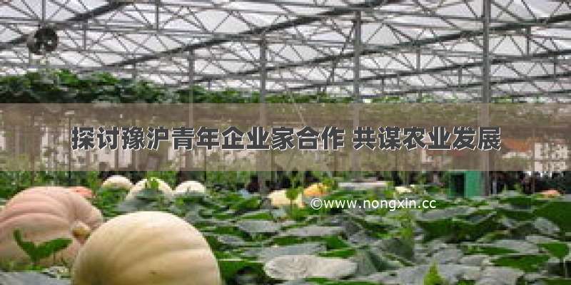 探讨豫沪青年企业家合作 共谋农业发展