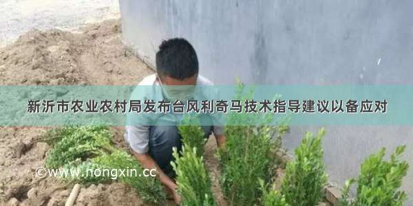新沂市农业农村局发布台风利奇马技术指导建议以备应对