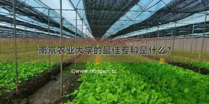 南京农业大学的最佳专科是什么？