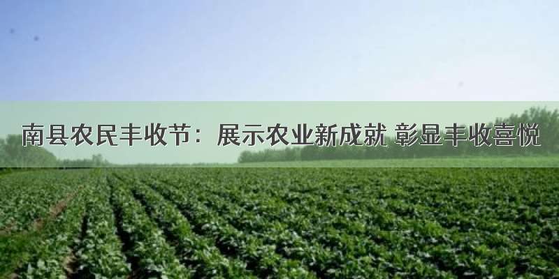 南县农民丰收节：展示农业新成就 彰显丰收喜悦