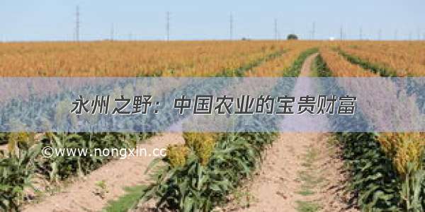 永州之野：中国农业的宝贵财富
