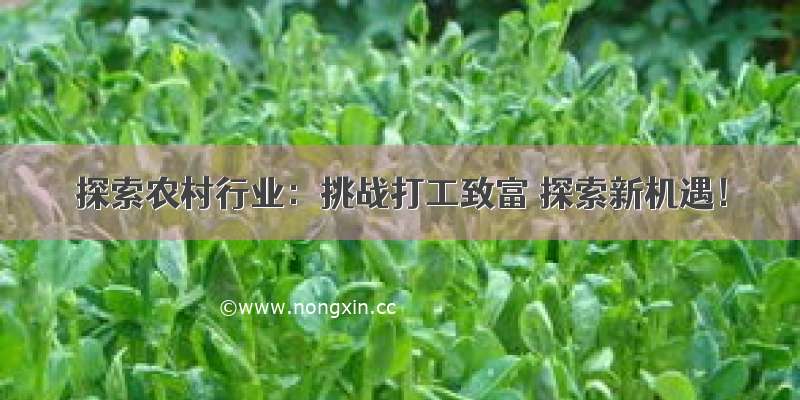 探索农村行业：挑战打工致富 探索新机遇！