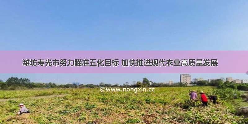 潍坊寿光市努力瞄准五化目标 加快推进现代农业高质量发展