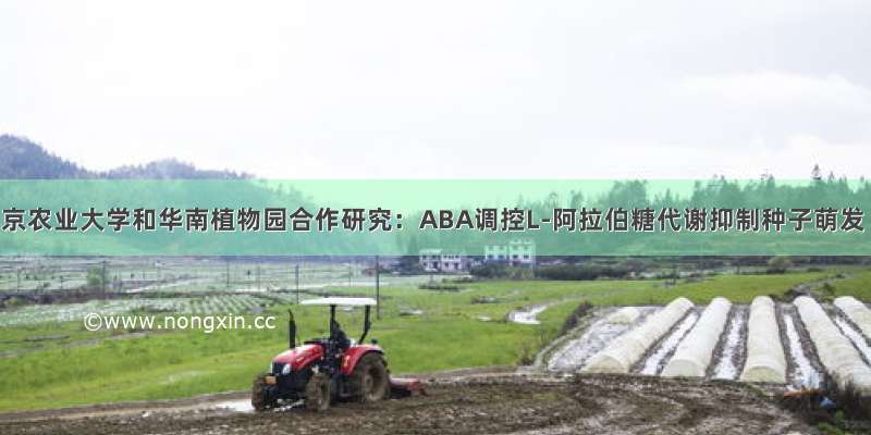 南京农业大学和华南植物园合作研究：ABA调控L-阿拉伯糖代谢抑制种子萌发