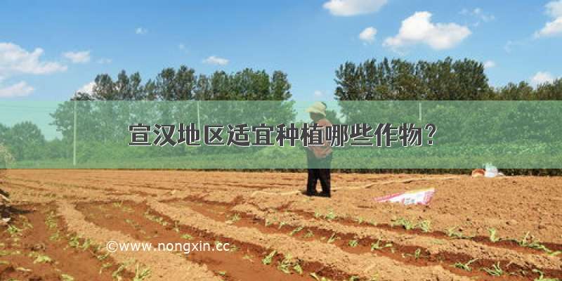 宣汉地区适宜种植哪些作物？
