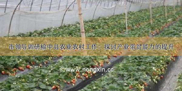 市领导调研榆中县农业农村工作：探讨产业带贫能力的提升