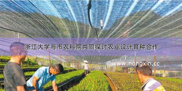 浙江大学与市农科院共同探讨农业设计育种合作