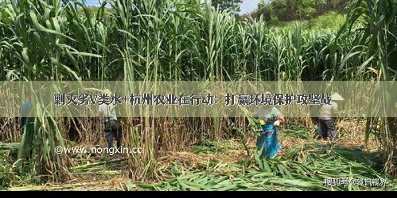 剿灭劣V类水+杭州农业在行动：打赢环境保护攻坚战