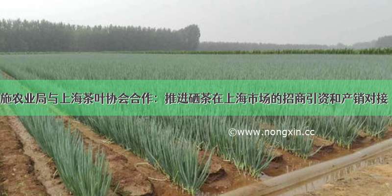 恩施农业局与上海茶叶协会合作：推进硒茶在上海市场的招商引资和产销对接