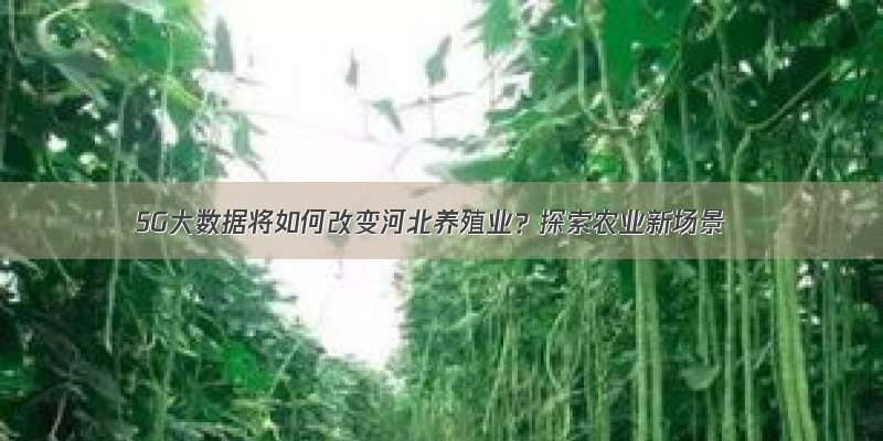 5G大数据将如何改变河北养殖业？探索农业新场景