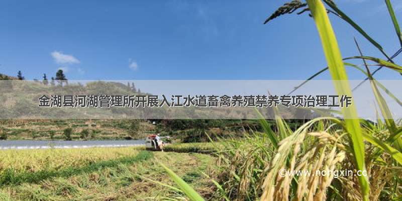 金湖县河湖管理所开展入江水道畜禽养殖禁养专项治理工作