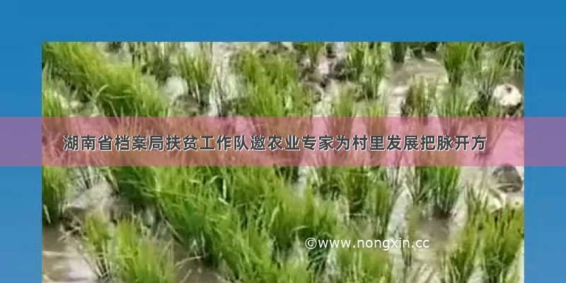 湖南省档案局扶贫工作队邀农业专家为村里发展把脉开方