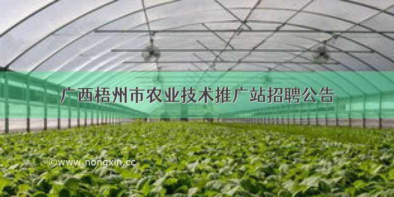 广西梧州市农业技术推广站招聘公告