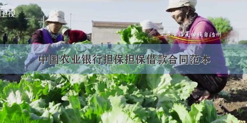 中国农业银行担保担保借款合同范本