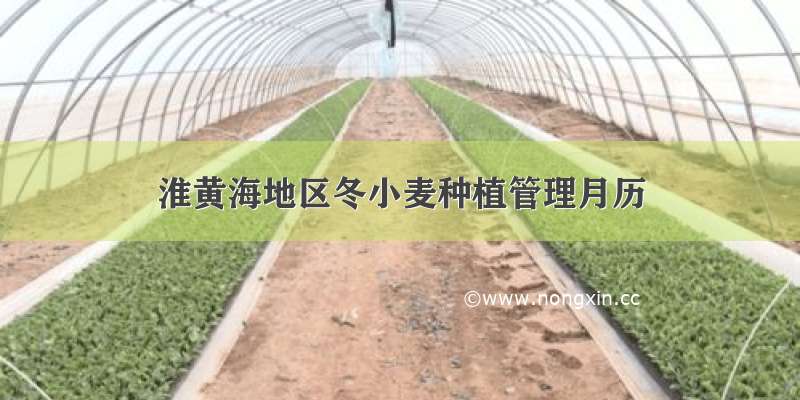 淮黄海地区冬小麦种植管理月历