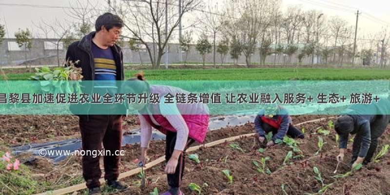 昌黎县加速促进农业全环节升级 全链条增值 让农业融入服务+ 生态+ 旅游+
