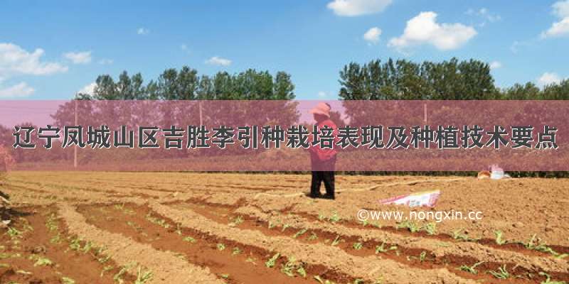 辽宁凤城山区吉胜李引种栽培表现及种植技术要点