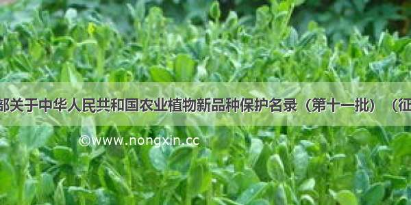 农业农村部关于中华人民共和国农业植物新品种保护名录（第十一批）（征求意见稿）