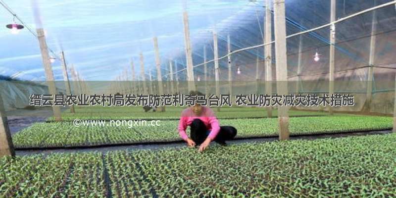 缙云县农业农村局发布防范利奇马台风 农业防灾减灾技术措施