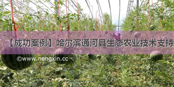 【成功案例】哈尔滨通河县生态农业技术支持