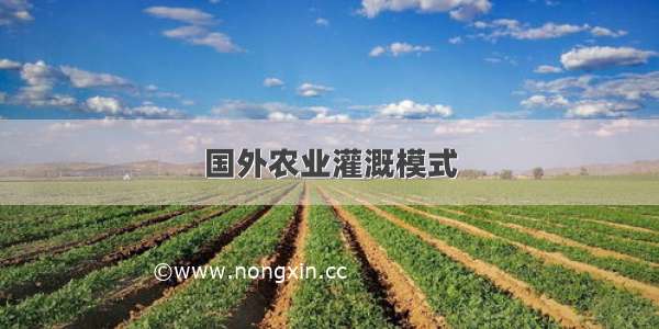 国外农业灌溉模式