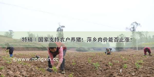 特稿｜国家支持农户养猪！萍乡肉价能否止涨？