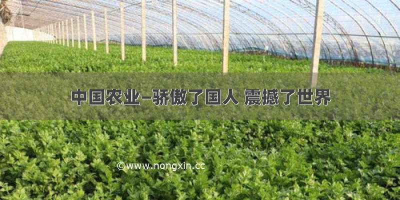 中国农业—骄傲了国人 震撼了世界