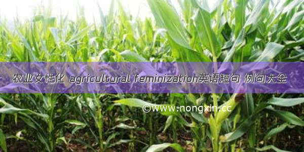 农业女性化 agricultural feminization英语短句 例句大全