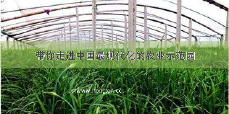 带你走进中国最现代化的农业示范园