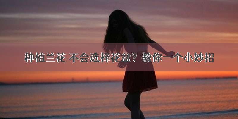 种植兰花 不会选择花盆？教你一个小妙招