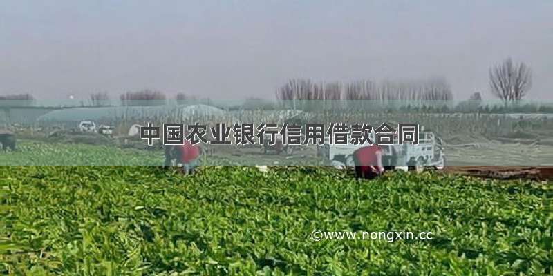 中国农业银行信用借款合同