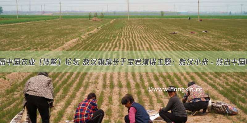 第四届中国农业（博鳌）论坛 敖汉旗旗长于宝君演讲主题：敖汉小米－熬出中国味