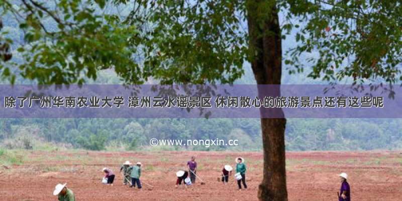 除了广州华南农业大学 漳州云水谣景区 休闲散心的旅游景点还有这些呢