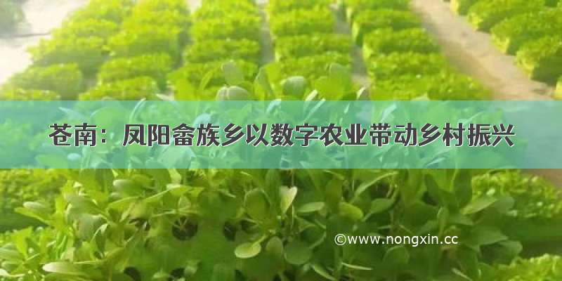 苍南：凤阳畲族乡以数字农业带动乡村振兴