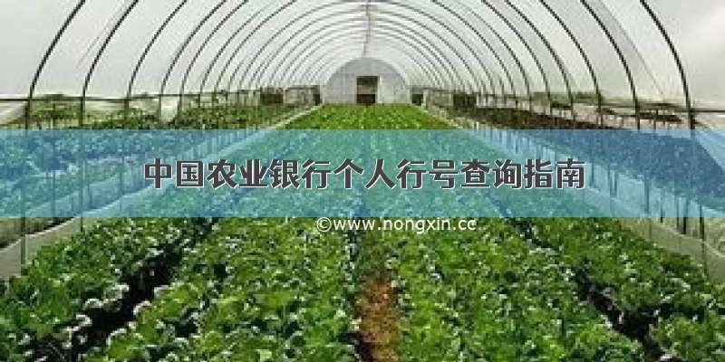 中国农业银行个人行号查询指南