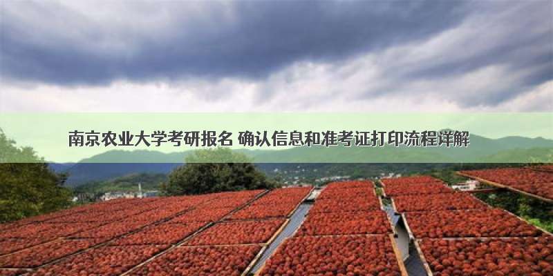 南京农业大学考研报名 确认信息和准考证打印流程详解