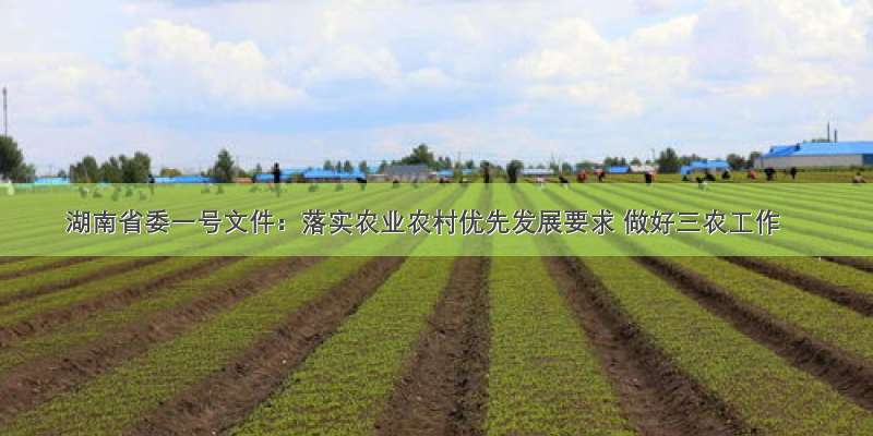 湖南省委一号文件：落实农业农村优先发展要求 做好三农工作