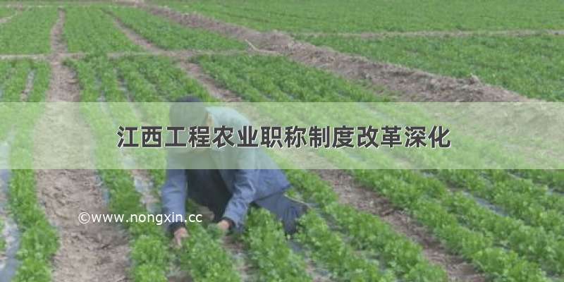 江西工程农业职称制度改革深化