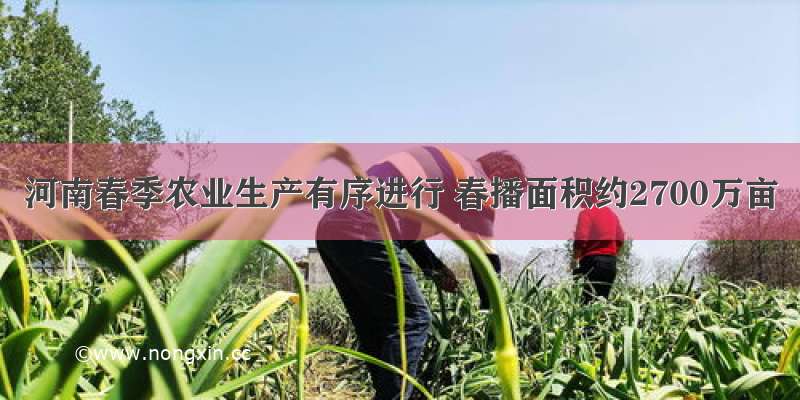 河南春季农业生产有序进行 春播面积约2700万亩