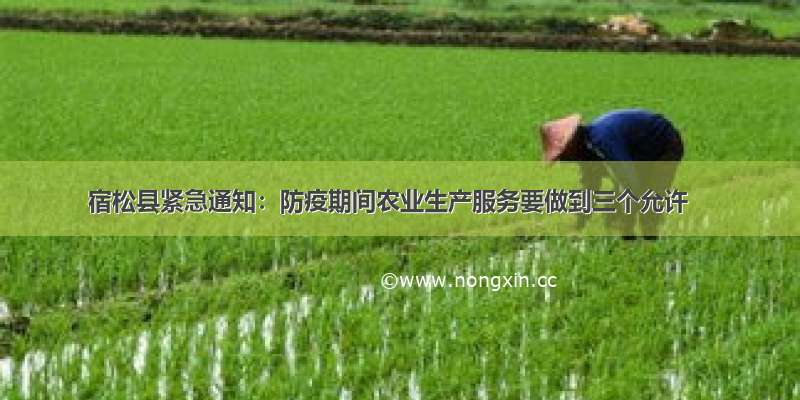 宿松县紧急通知：防疫期间农业生产服务要做到三个允许