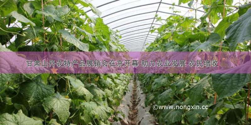 甘肃山丹农特产品展销会在京开幕 助力农业发展 农民增收
