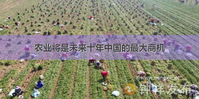 农业将是未来十年中国的最大商机