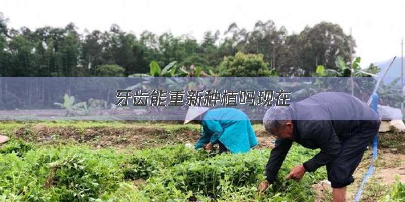 牙齿能重新种植吗现在