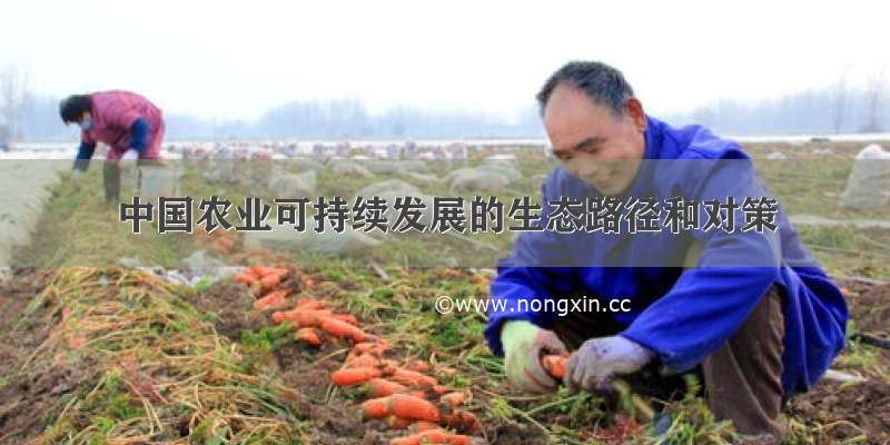 中国农业可持续发展的生态路径和对策