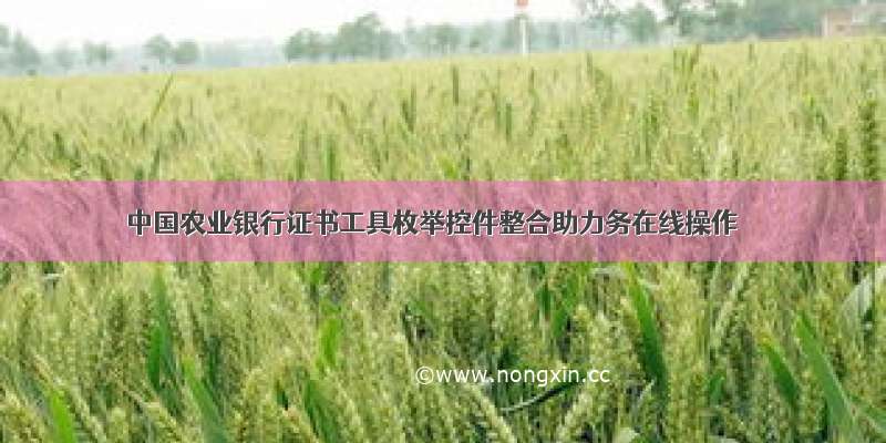 中国农业银行证书工具枚举控件整合助力务在线操作